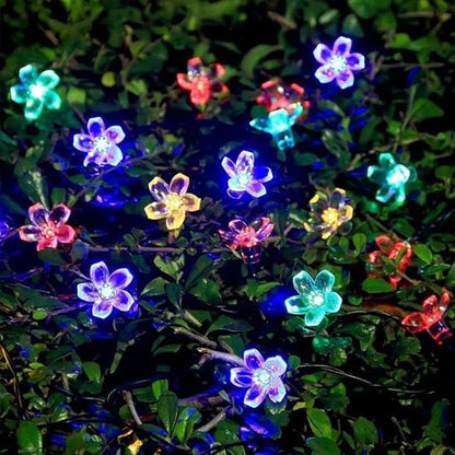 Outdoor Solar String Lights - GenZsolar
