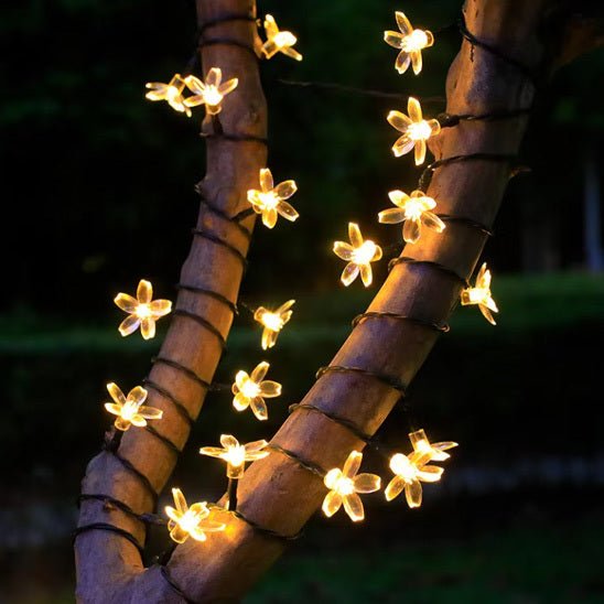 Outdoor Solar String Lights - GenZsolar