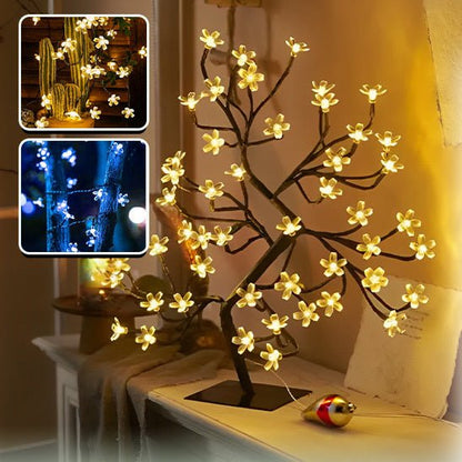Outdoor Solar String Lights - GenZsolar