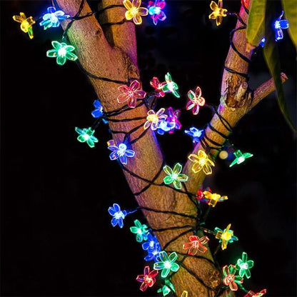 Outdoor Solar String Lights - GenZsolar