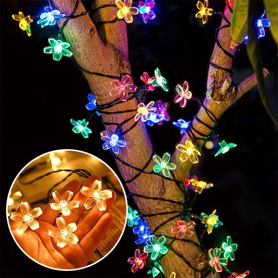Outdoor Solar String Lights - GenZsolar