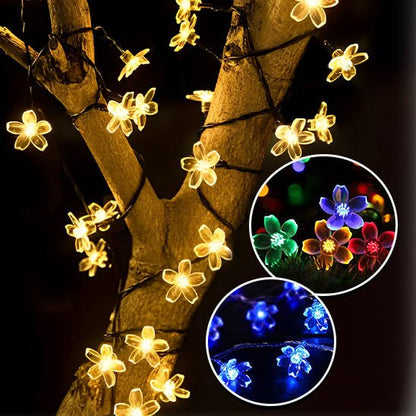 Outdoor Solar String Lights - GenZsolar