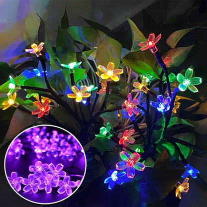 Outdoor Solar String Lights - GenZsolar